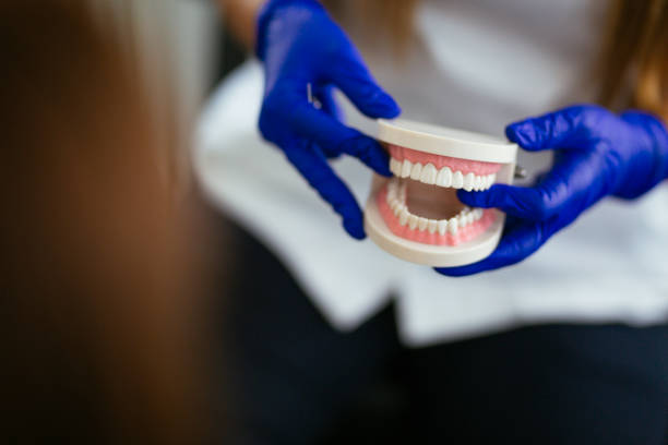 Best Dentures (Full and Partial)  in Walkerton, IN